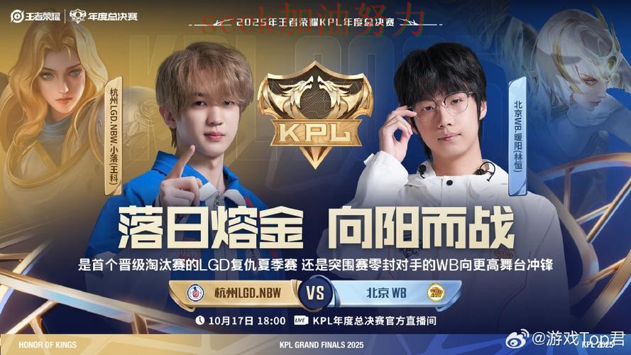 世界杯竞猜数据分析告诉你：是否安全的正确方式（全球总决赛）